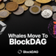 Cryptocurrency Presale Investors Flock to BlockDAG: Experts Predict $30 by 2030 – What About Retik Finance’s Exchange Fate?