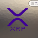 Expert Explores How 1,000 XRP Can Provide Significant Financial Returns