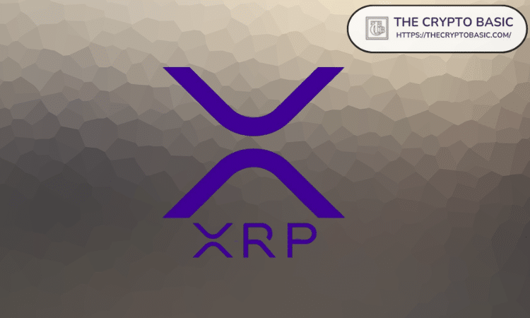 Expert Explores How 1,000 XRP Can Provide Significant Financial Returns