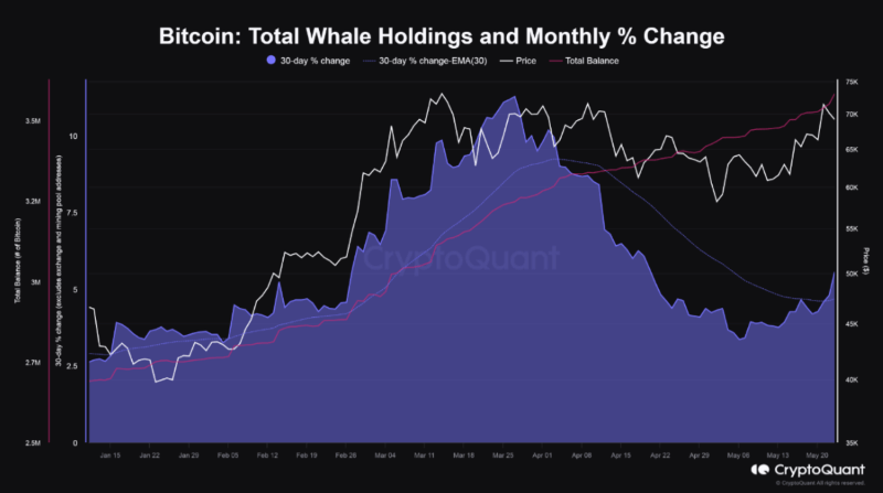 Whales’ total Bitcoin holdings are increasing.  Source: CryptoQuant