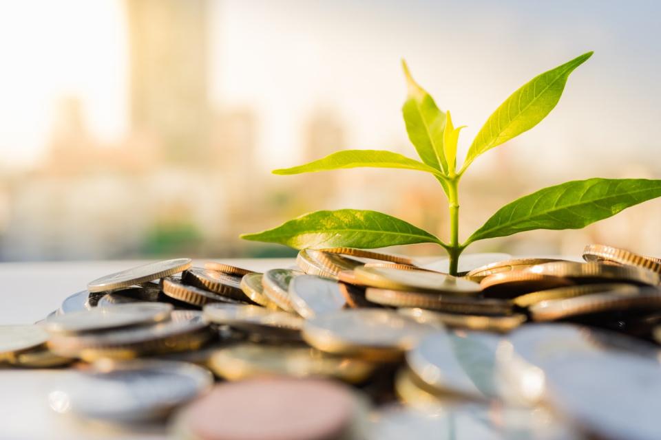 A budding plant emerges from a pile of coins.