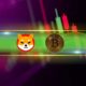 Shiba Inu (SHIB) Explodes 15% Daily, Bitcoin (BTC) Holds $68,000 (Market Watch)