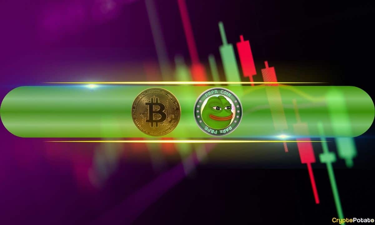 These Meme Coins Explode Every Day as Bitcoin Faces More Volatility (Market Watch)