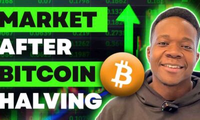 What happens to the cryptocurrency market after the Bitcoin halving?