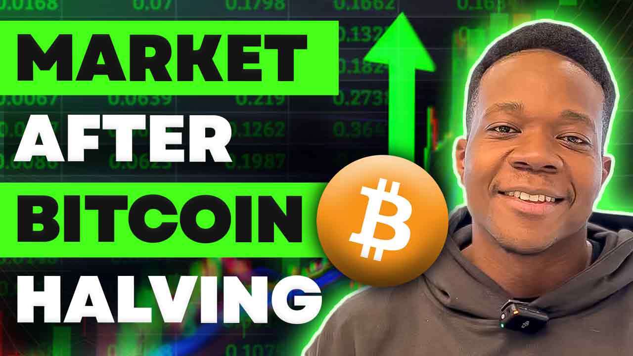 What happens to the cryptocurrency market after the Bitcoin halving?