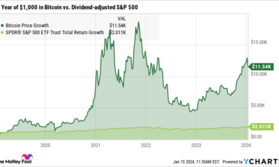 Motley Fool