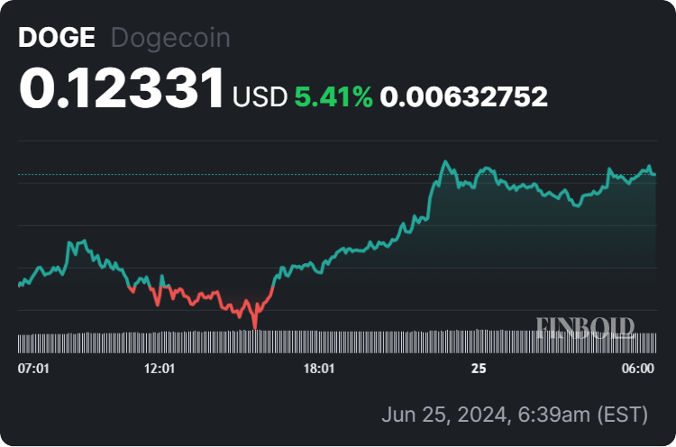 Dogecoin 24-hour price chart.  Source: Finbold