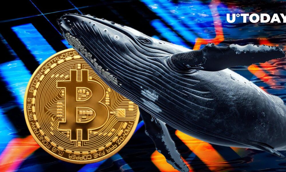 Big Bitcoin whale buys $395 million worth of BTC after recent price crash