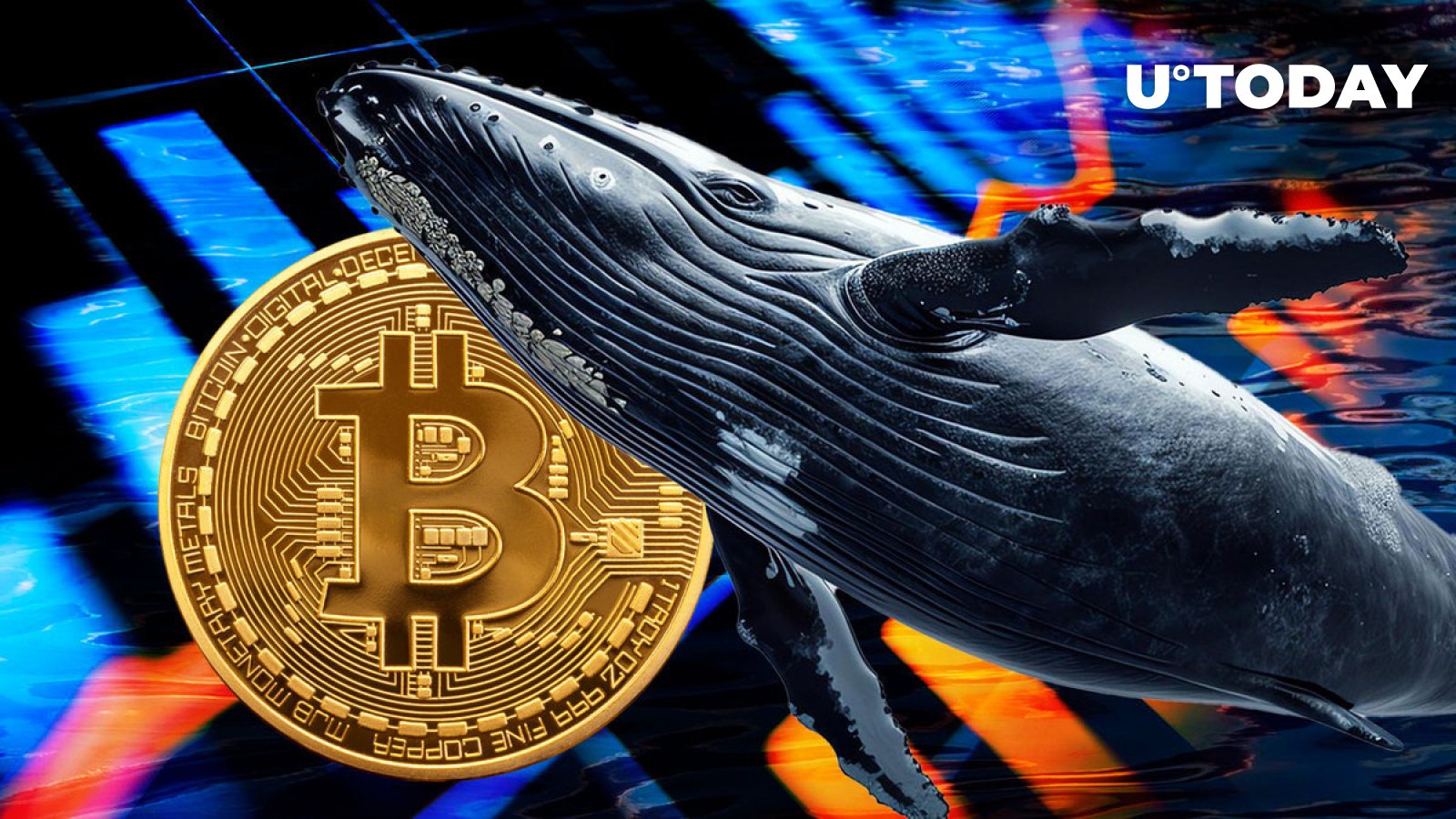 Big Bitcoin whale buys $395 million worth of BTC after recent price crash