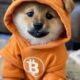 Bitcoin-based meme coin DOG explodes towards a $1 billion market cap