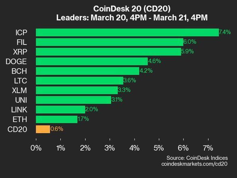 CoinDesk 20 Index Leaders on March 21 (CoinDesk)