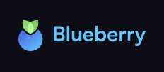 Blueberry Protocol Raises $2.5M Series A Led by White Star Capital to Deliver Enhanced Decentralized Leverage and Curated DeFi Strategies