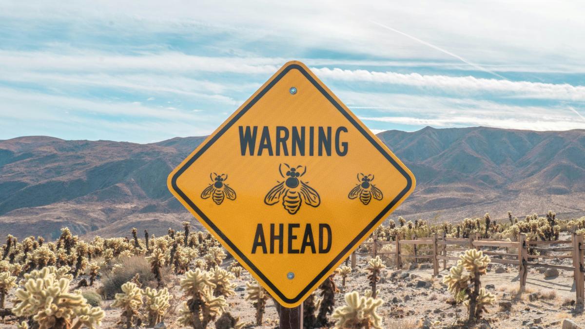Crypto firm Bakkt warns it may not be able to stay in business