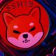 Shiba Inu, Dogwifhat Defy Market Dips, Altcoins Poised for a Big Rally, and More: This Week in Cryptocurrency