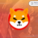 The best financial app allows Shiba Inu card payment