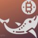 Whale Investments in Bitcoin Reached $100 Billion in 2024, Fueling Crazy Investor Optimism ⋆ ZyCrypto