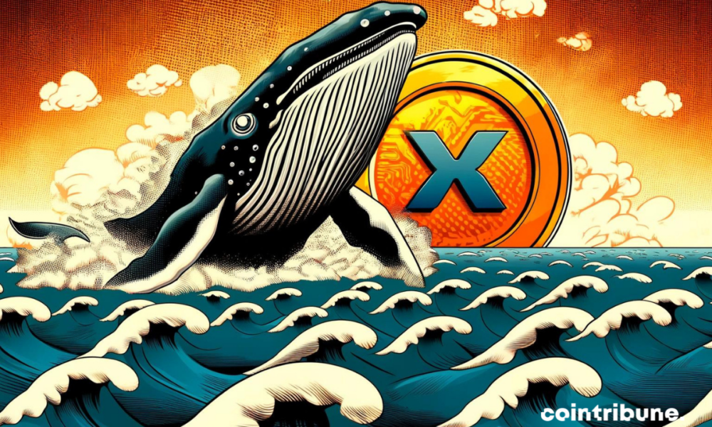 Whale Transactions Destabilize XRP Price!