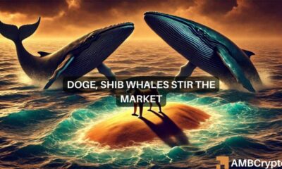 Dogecoin, Shiba Inu Markets See Volatility: Are Whales to blame?