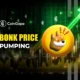 BONK Price Targets $0.00004 as Market Cap Surpasses $2 Billion