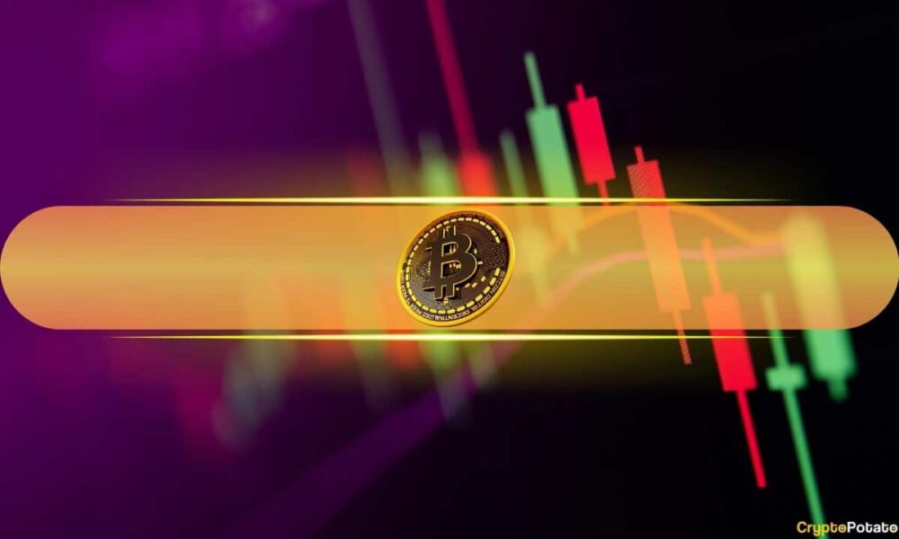 Bitcoin (BTC) Price Targets $67,000 Again as Most Altcoins Turn Red (Market Watch)