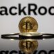 BlackRock reveals the only 2 cryptocurrencies worth buying