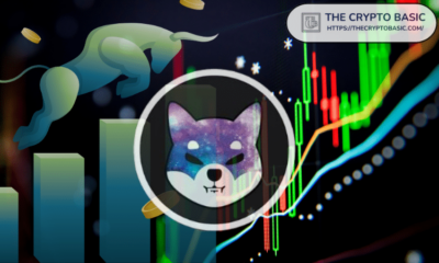 Here's How High SHIB Could Rise