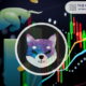 Here's How High SHIB Could Rise