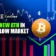 New ATHs in the Low Market: Here's the Cryptocurrency That Challenges the Crypto Market Crash