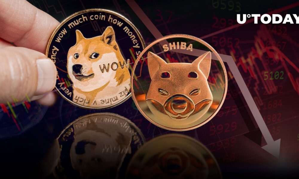 Shiba Inu (SHIB) and Dogecoin (DOGE) Among Major Crypto Laggards as Market Sees Severe Downturn