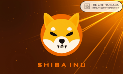 Shiba Inu's partnership with these two flagship projects aims to improve Shibarium DeFi