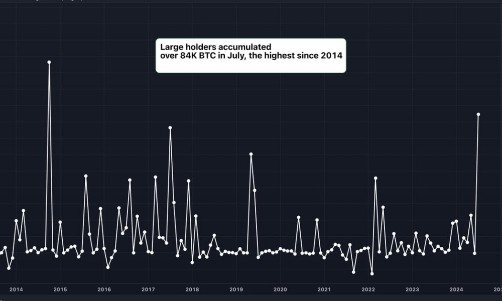 Large Bitcoin (BTC) holders added $5.4 billion in BTC in July, data shows