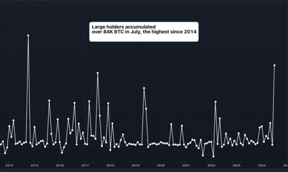 Large Bitcoin (BTC) holders added $5.4 billion in BTC in July, data shows